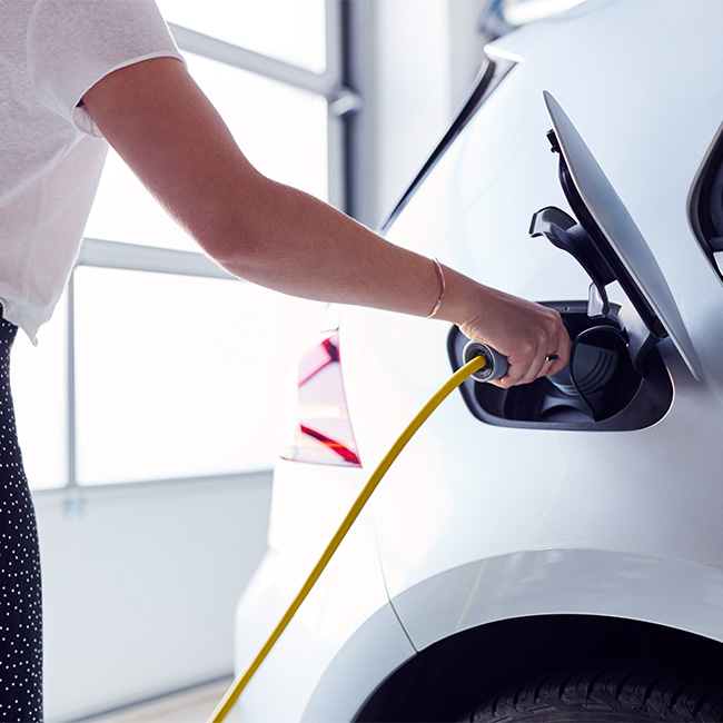 Bornes escamotables électriques Essonne